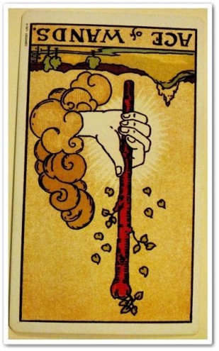 ace of wands